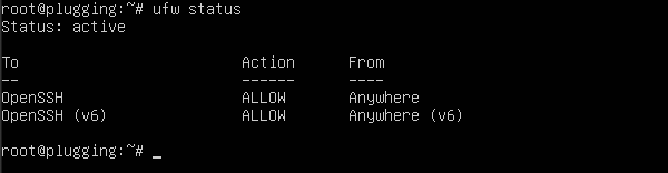 UFW status showing OpenSSH active